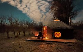 Dragon Orchard Retreat