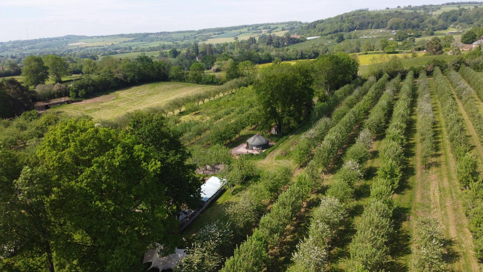 Dragon Orchard Retreat Villa Ledbury Exterior photo