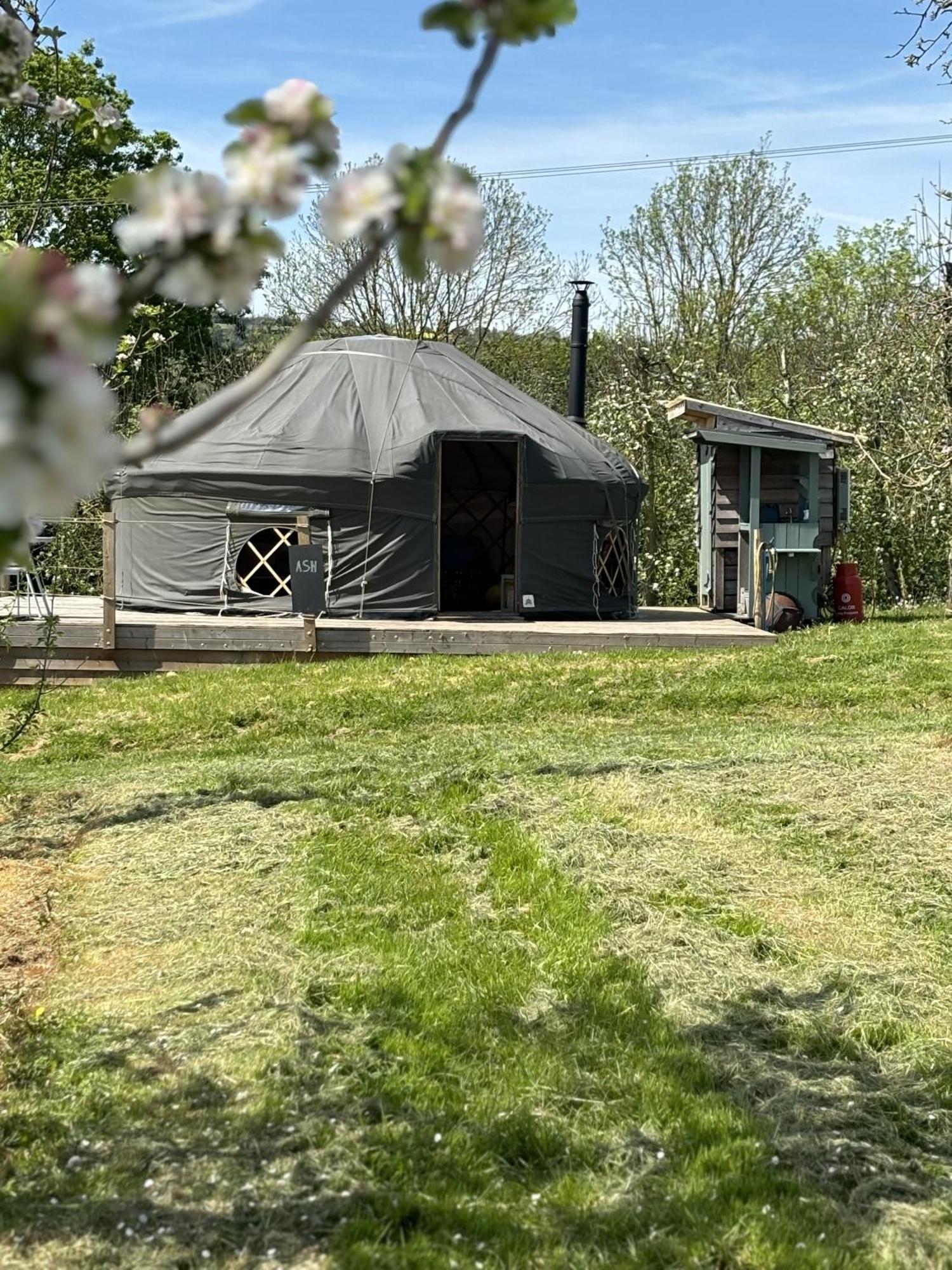Dragon Orchard Retreat Villa Ledbury Exterior photo
