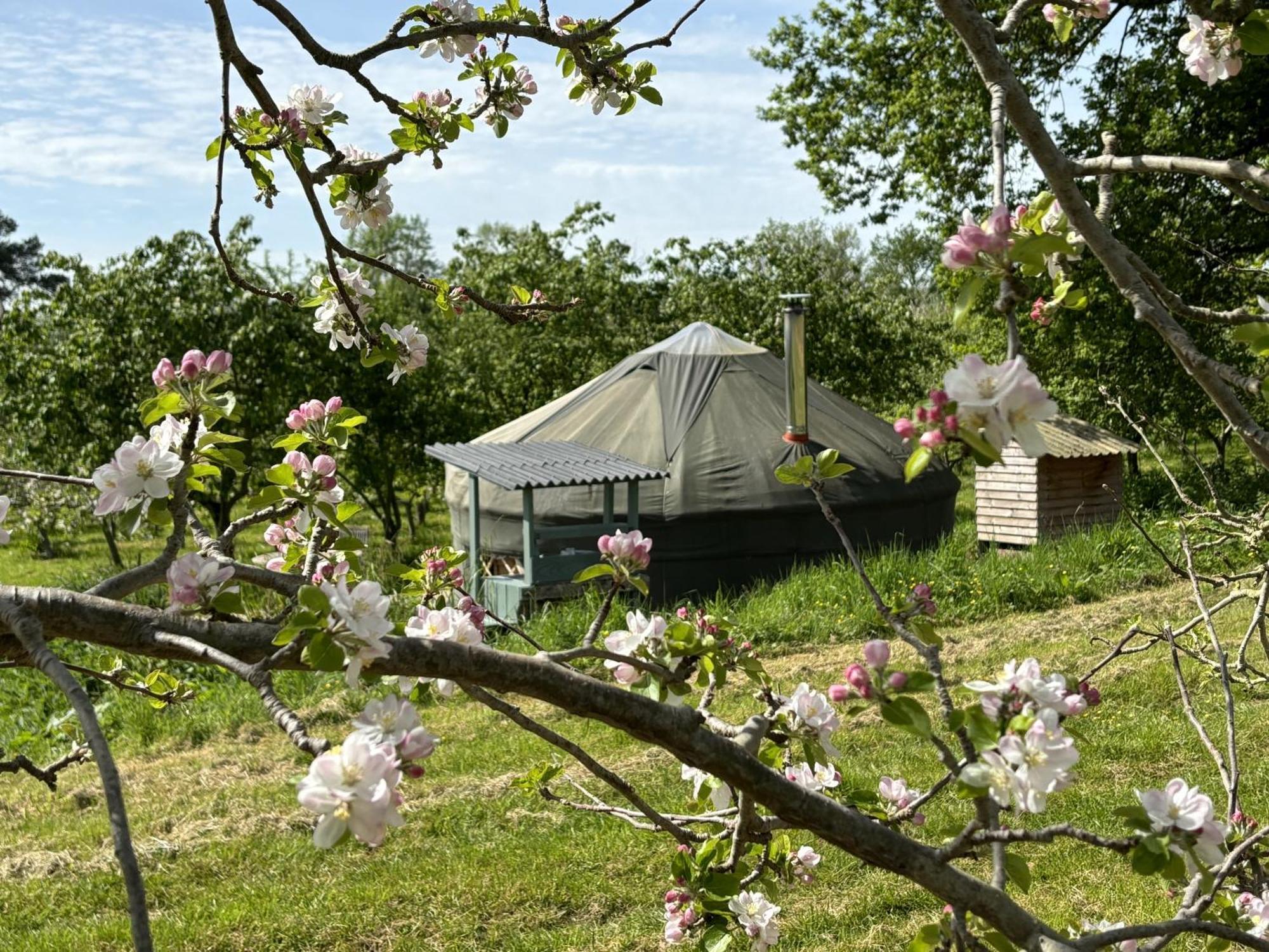 Dragon Orchard Retreat Villa Ledbury Exterior photo